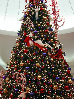 �J���t���ȃc���[